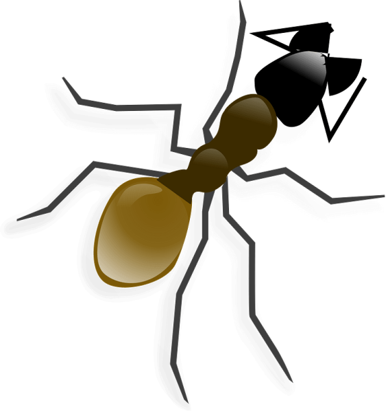 Муравей без фона для детей