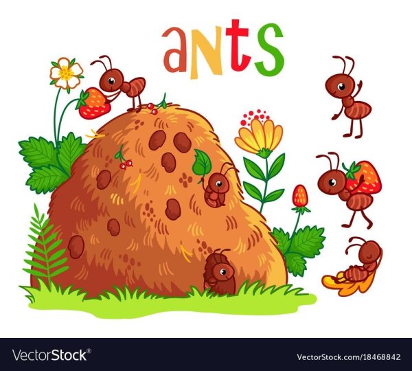 Веселый Муравейник