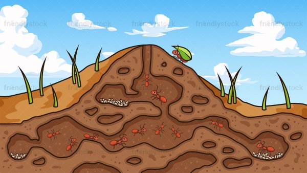 Муравейник PNG настоящий