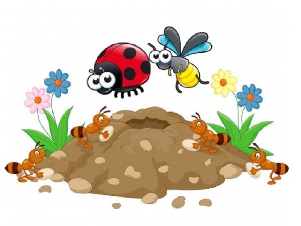 Муравейник на белом фоне