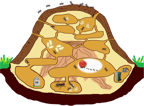 Муравейник для детей