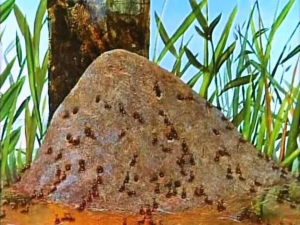 Муравей и Муравейник для детей