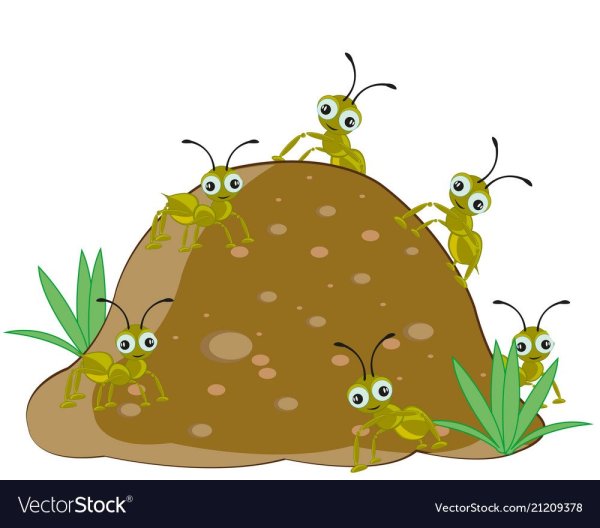 Муравейник на белом фоне