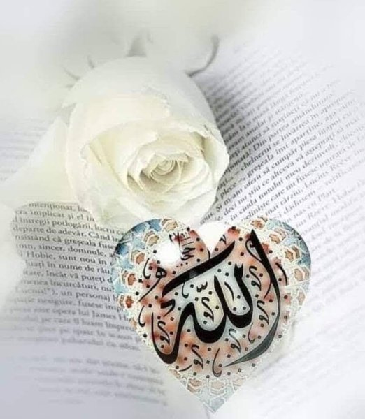 Мусульманское сердце
