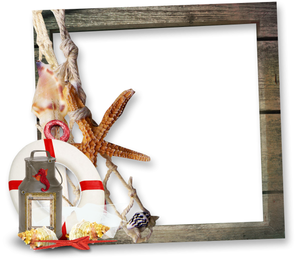 Рамка морская на прозрачном фоне