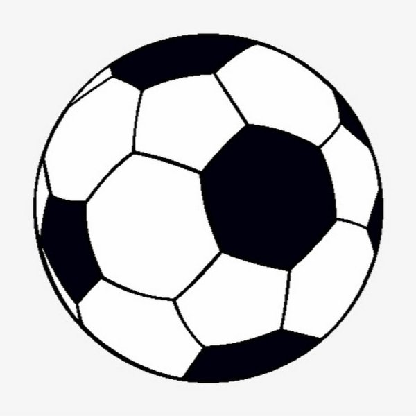 Мячик футбольный черно белый