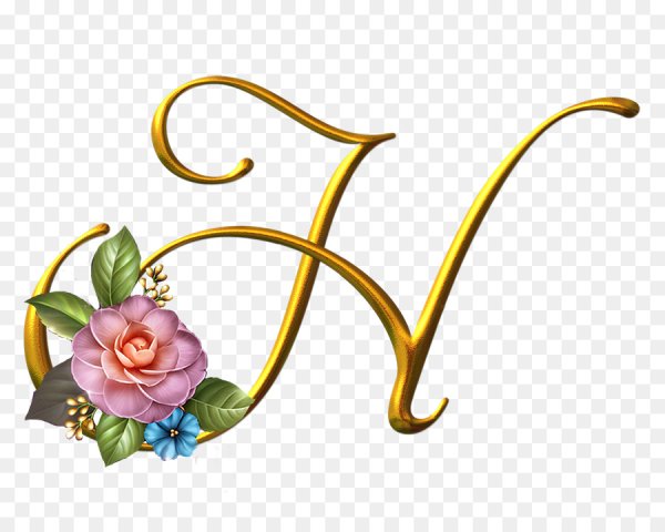 Красивая буква н на прозрачном фоне