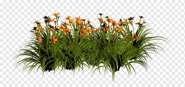 Цветник для фотошопа