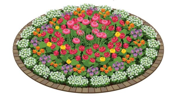 Клумба с цветами