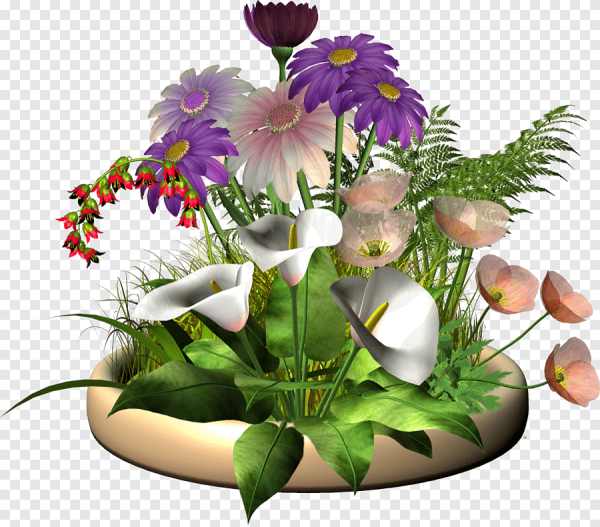 Цветник на прозрачном фоне