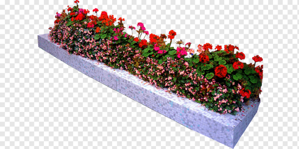 Цветник на белом фоне