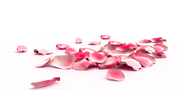 Рассыпанные лепестки
