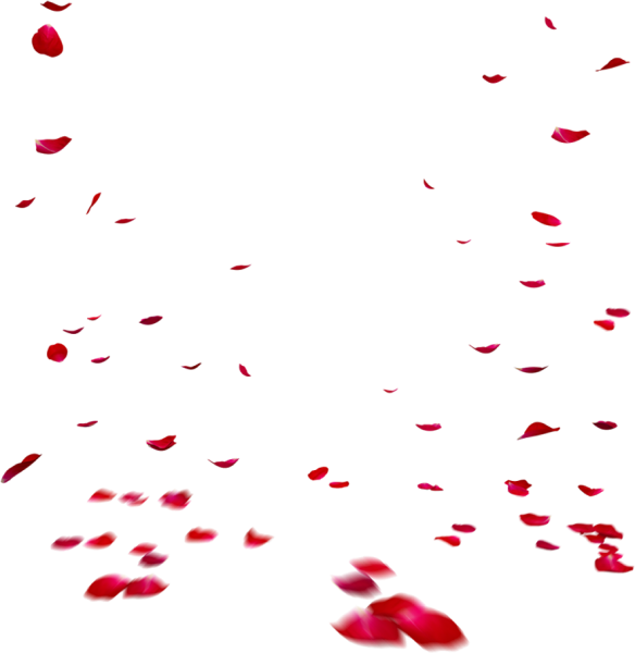 Падающие лепестки роз