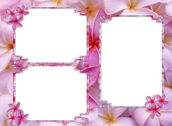 Тройные рамки для фотографий