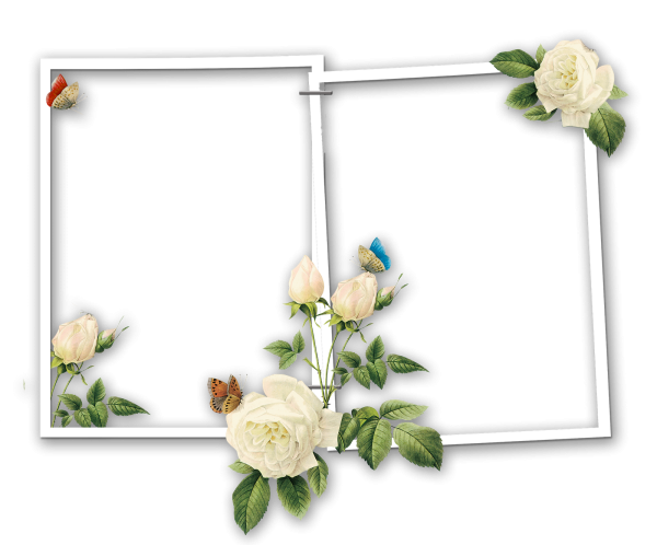 Рамка двойная