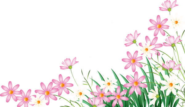 Цветочки без фона