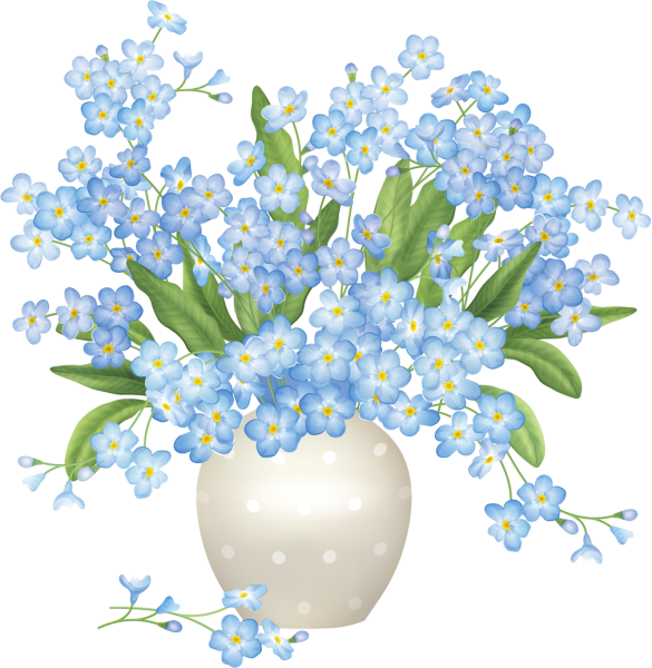 Красивые весенние цветы на прозрачном фоне