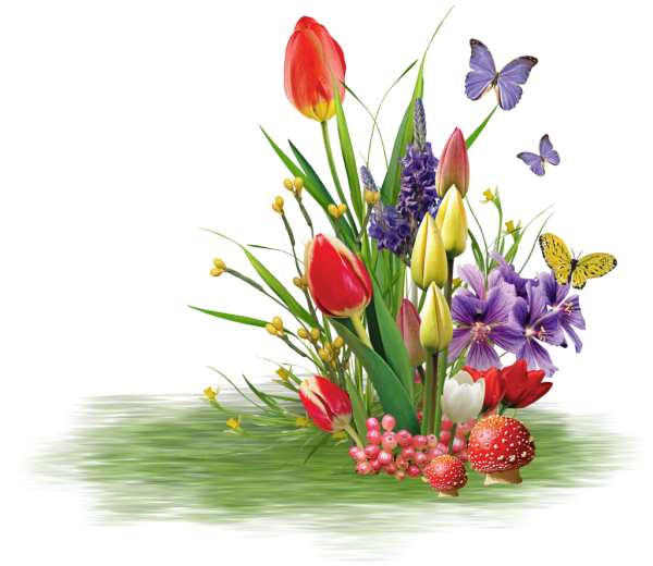 Вена на прозрачном фоне