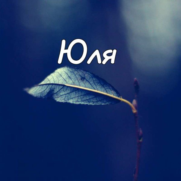 Надпись имени Юлия