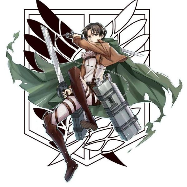 Атака титанов развед корпус Леви