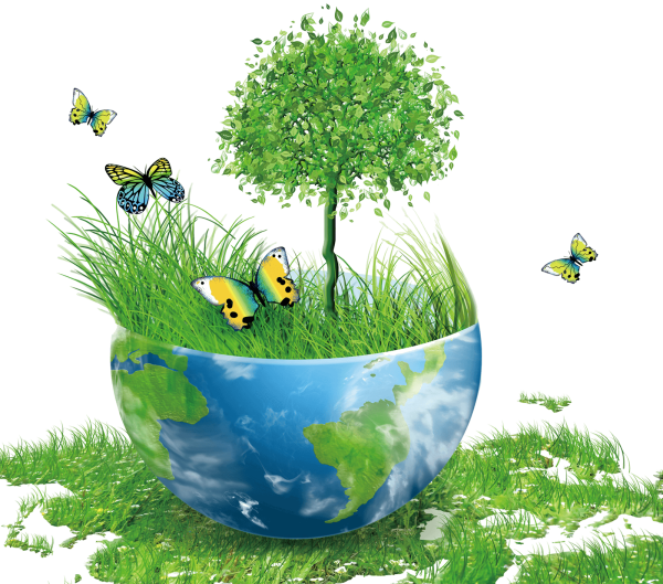 Детям об экологии