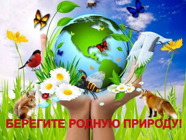 О бережном отношении к природе