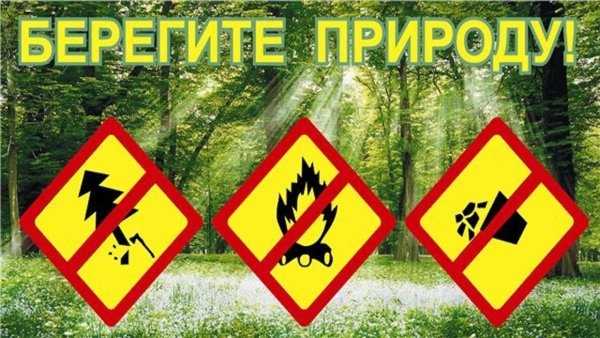 Природа берег