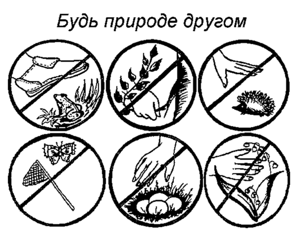Плакат будь природе другом