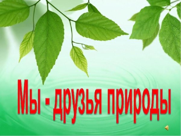 Мы друзья природы викторина