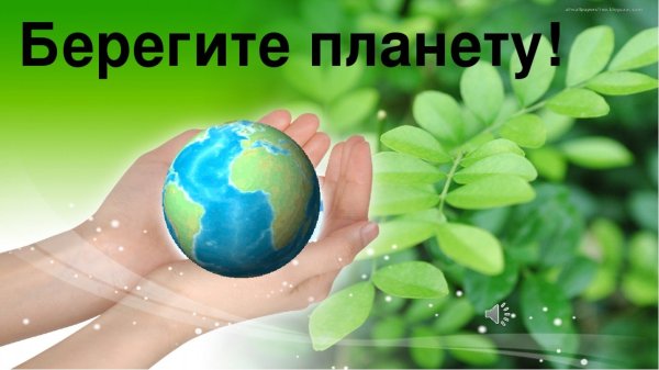 Сохраним природу вместе