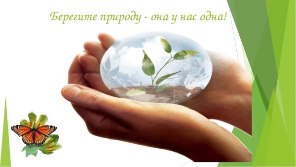 Экология берегите природу