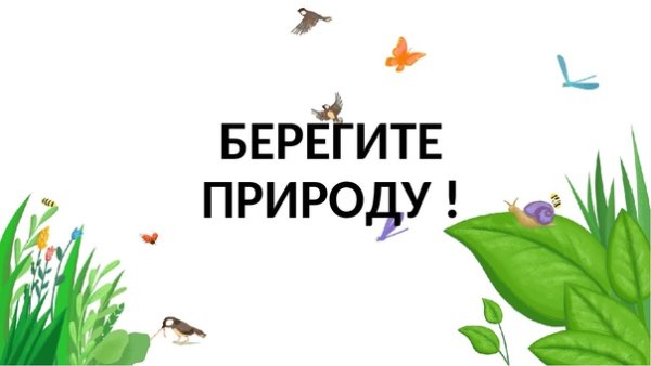 Надпись береги природу красиво