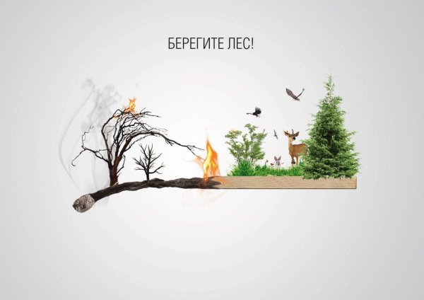 Берегите лес от огня