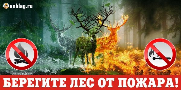 Аншлаг на противопожарную тематику в лесах