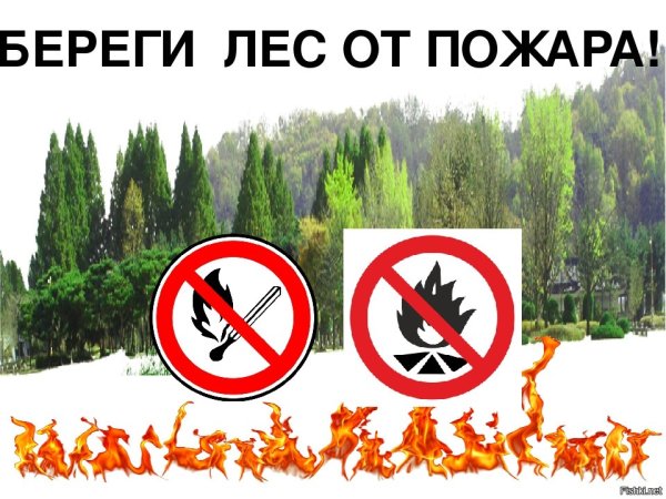 Знак берегите лес от пожара