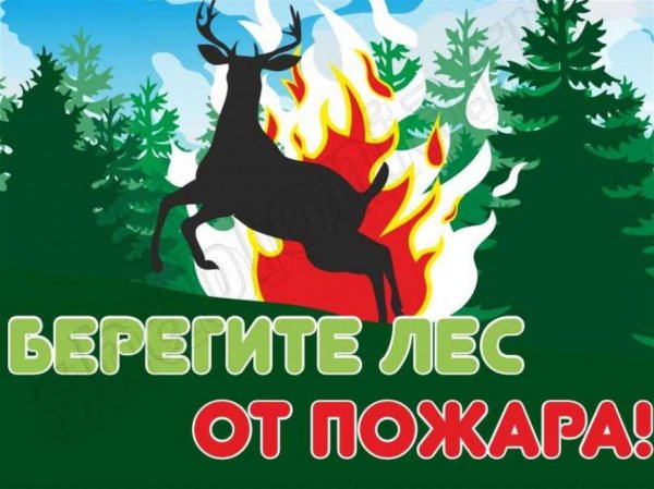 Противопожарные плакаты в лесу