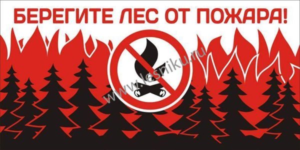 Противопожарная безопасность в лесу - аншлаги
