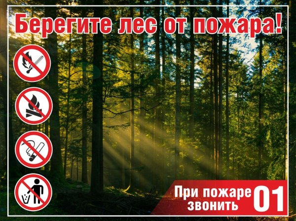 Противопожарная безопасность в лесу - аншлаги