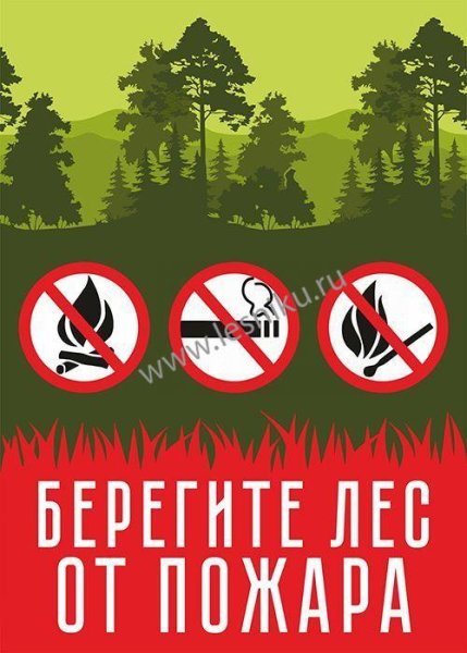 Аншлаг берегите лес от пожара