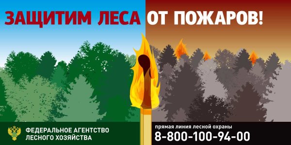 Защитим леса от пожаров