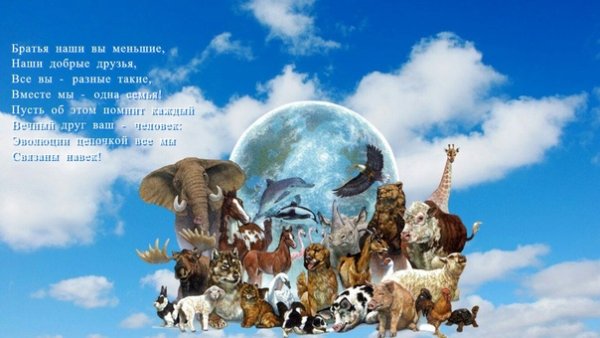 Берегите животных картинки