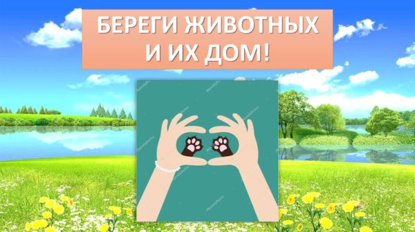 Берегите животных