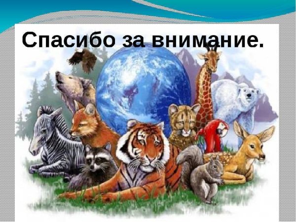 Охрана и защита животных