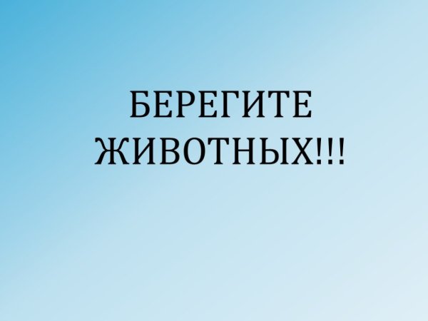 Надпись берегите животных