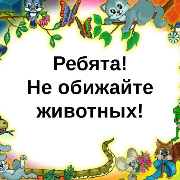 Не обижайте животных