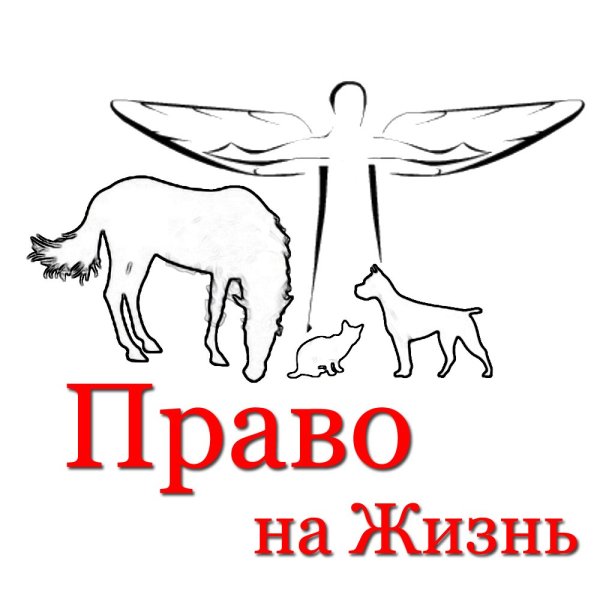 Защита прав животных