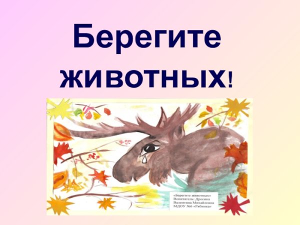 Плакат берегите животных 3 класс