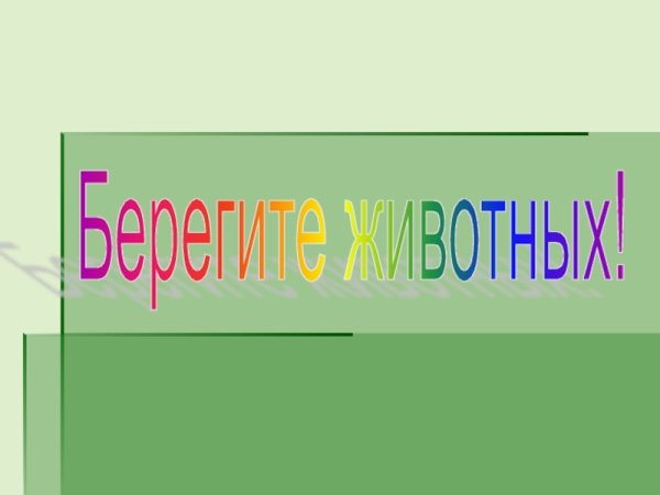Надпись береги животных