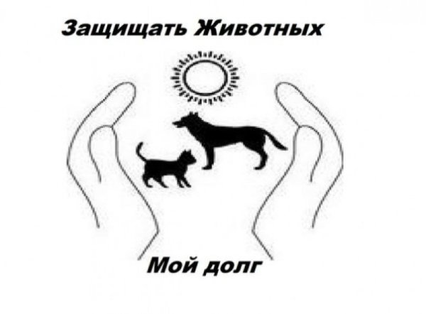 Рисунок ко Дню защиты животных