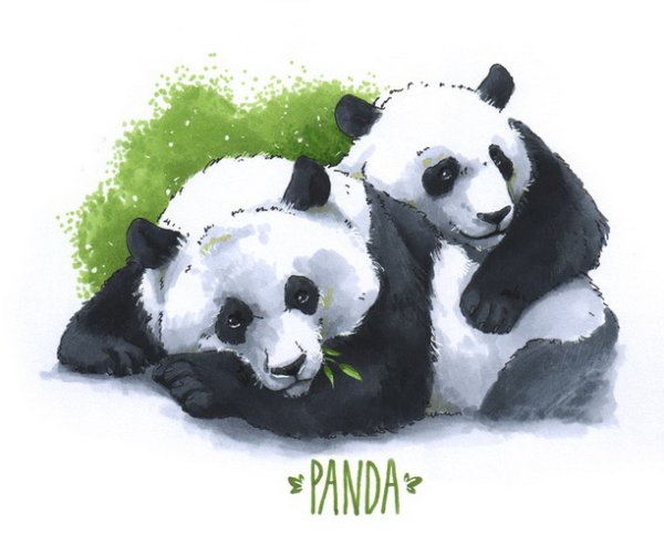 Берегите животных надпись красивая